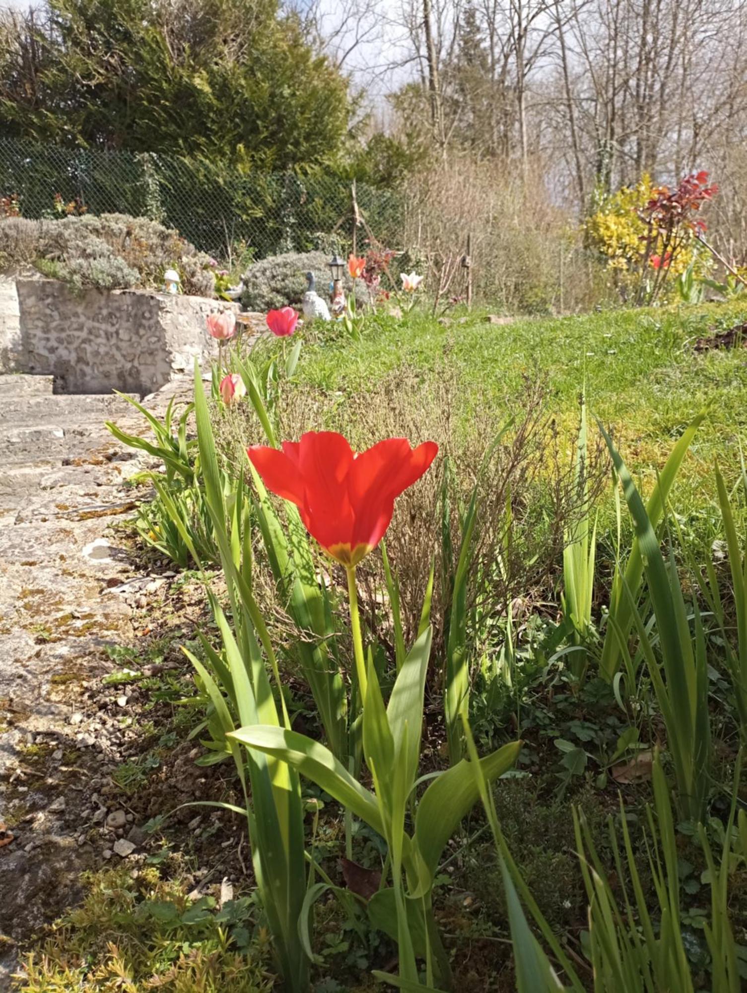 Gite L'Olivianne Crépy-en-Valois Exterior foto